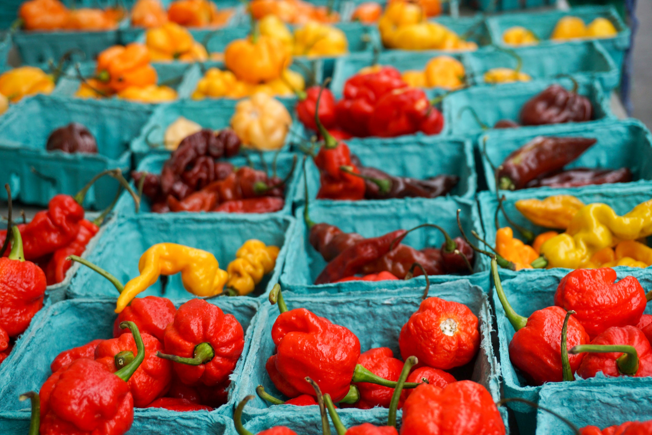 Molcajete Mexicano: Great for Hot Pepper Flakes & Salsa Recipes! – Sandia  Seed Company