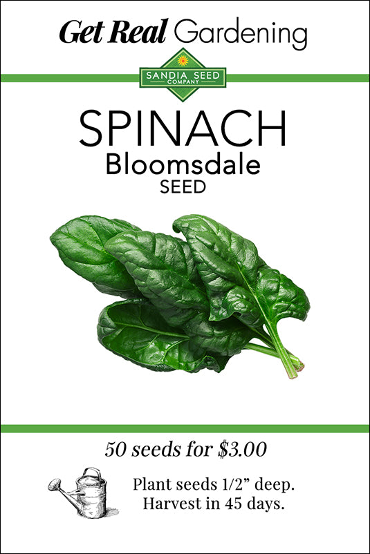 spinach plant seeds