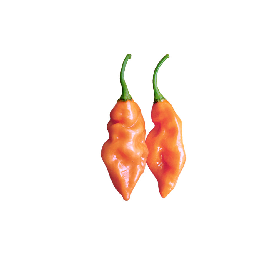 Habanada pepper deals