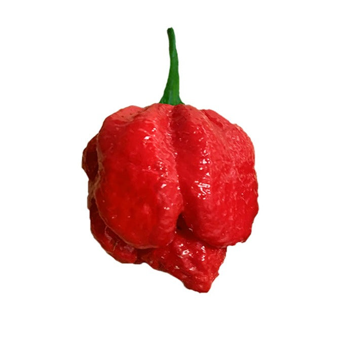 scorpion pepper