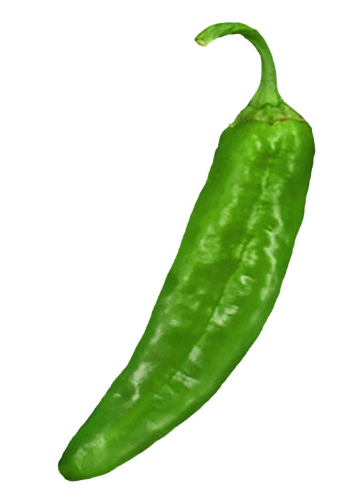 Largest Peppers – Sandia Seed Company
