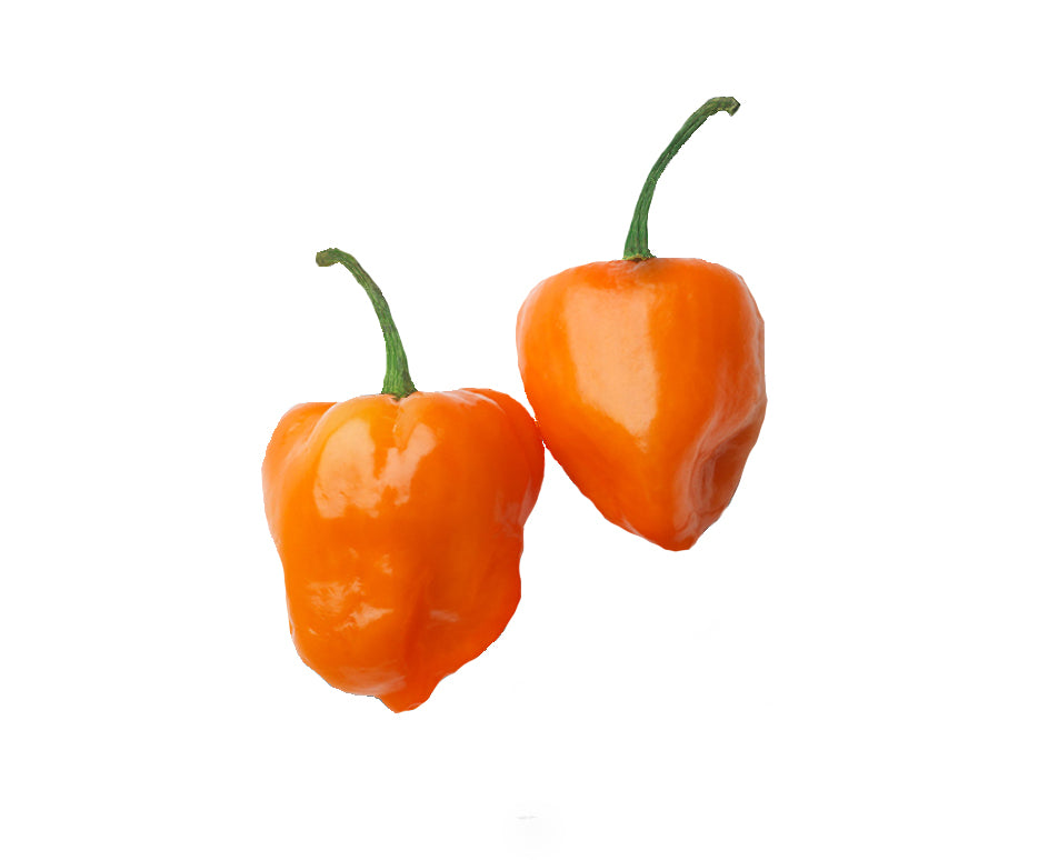 Tahin Habanero Pepper and Lemon Flavor 45g (Imported from Mexico