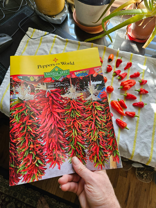 Best Vegetable Seed Catalog