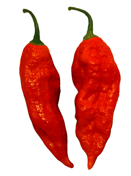 Ghost Pepper Hot Sauce Recipe