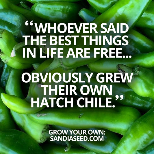 Grow your own Hatch Chile!