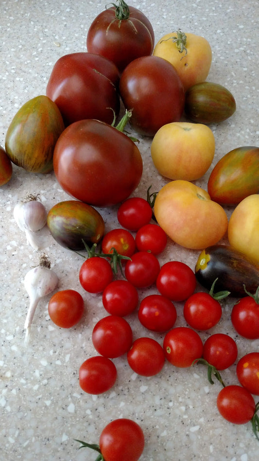 September Vegetables