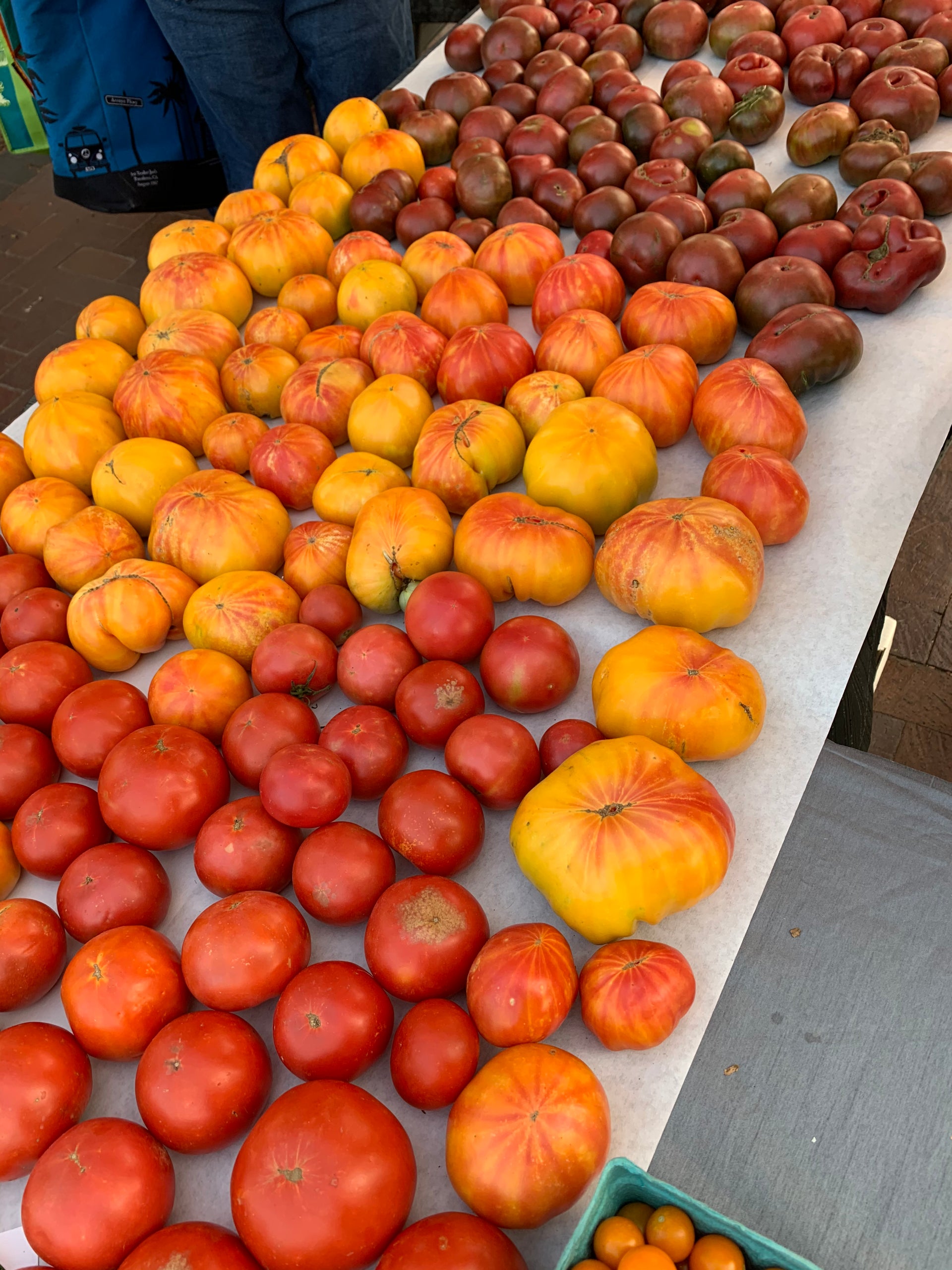 Watermelon Beefsteak Tomato – Tomato Growers Supply Company