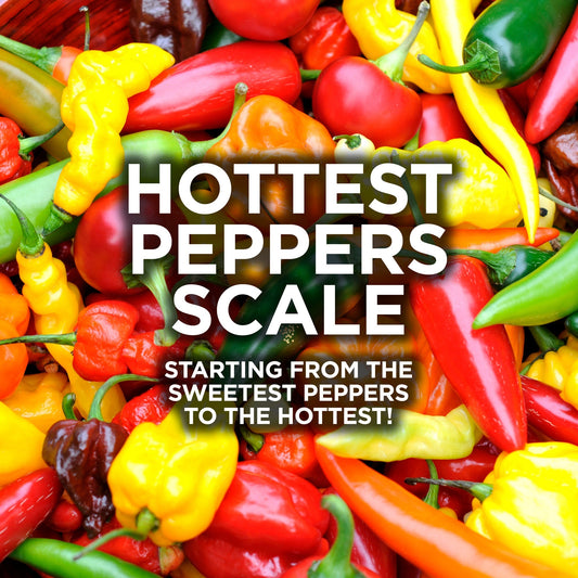 Hottest Peppers Scale