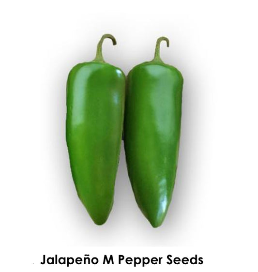 Jalapeño Seeds