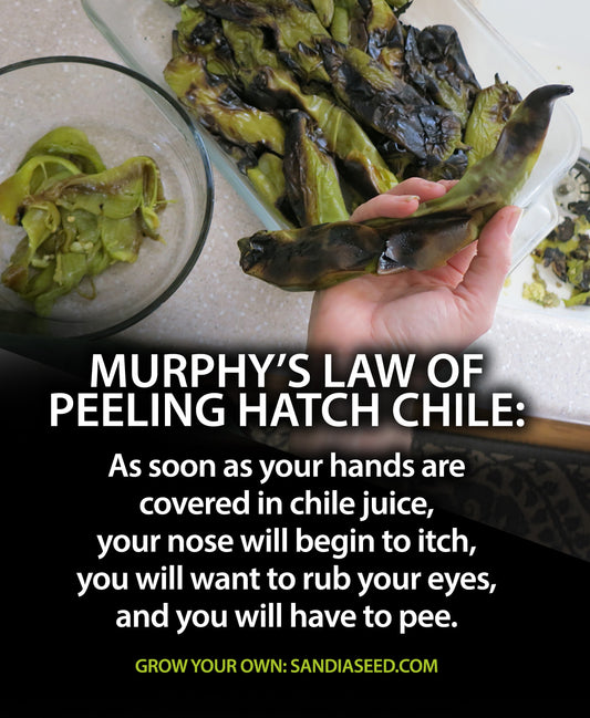 Murphy's Law of Peeling Chile