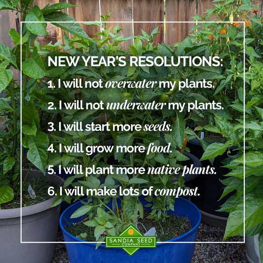 New Year's Gardening Resolutions