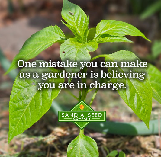 Garden Mistakes