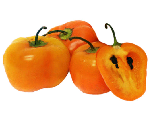 Rocoto Peppers