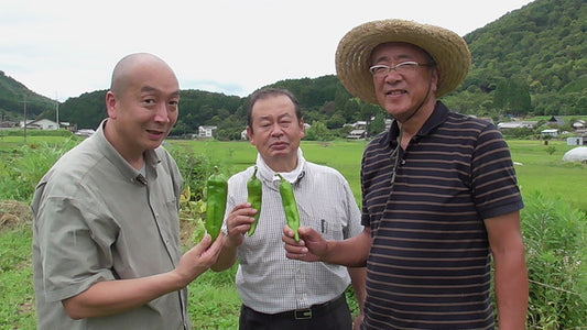 Growing Chile Seeds in Japan