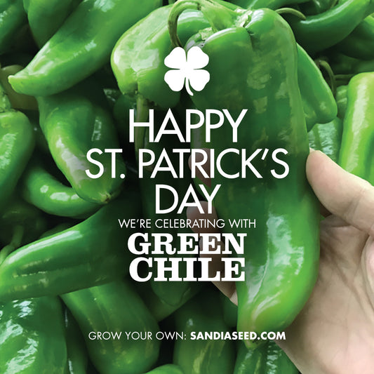 Happy St. Patrick's Day – Celebrate with Green Chile!