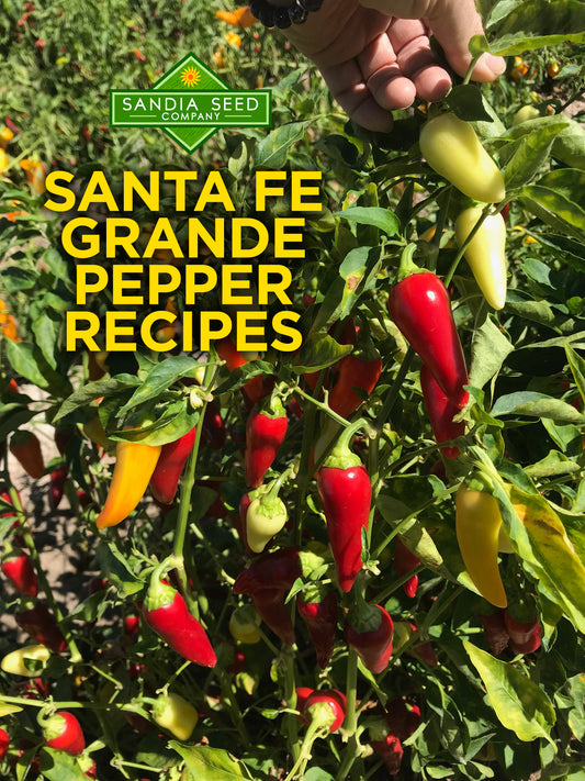 Santa Fe Grande Pepper Recipes