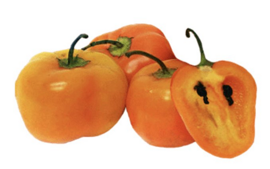 A Pepper for Colder Climates