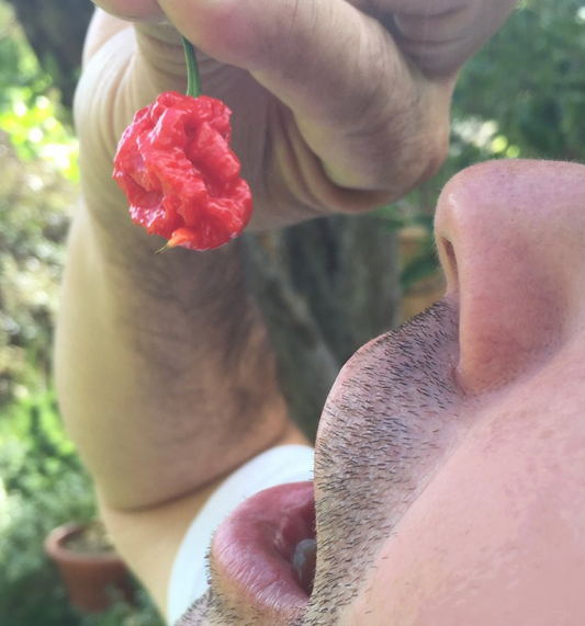 Can Eating a Carolina Reaper Kill You?