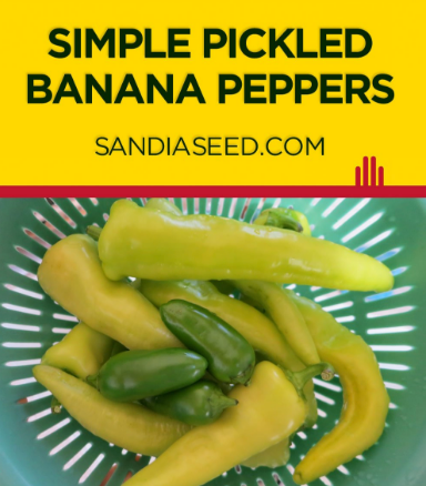 Simple Pickled Banana Peppers Recipe