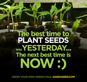 SANDIA SEED BLOG – Sandia Seed Company