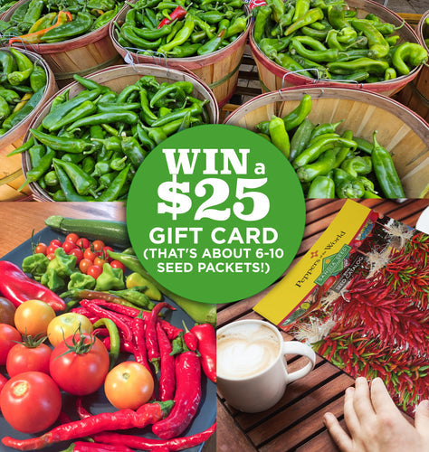 Win a $25 Gift Card in our Seed Reviews Contest