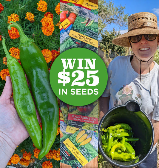 Win $25 in Free Seeds with your Seed Reviews!