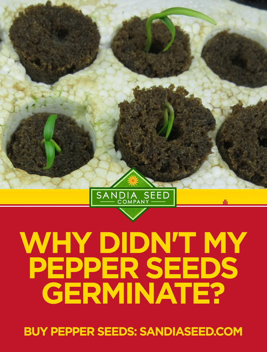 Why didn't my pepper seeds germinate?