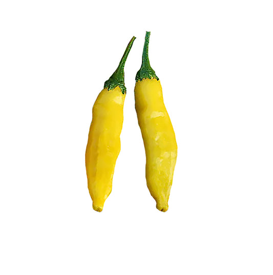 Aji Limo / Lemon Drop Seeds