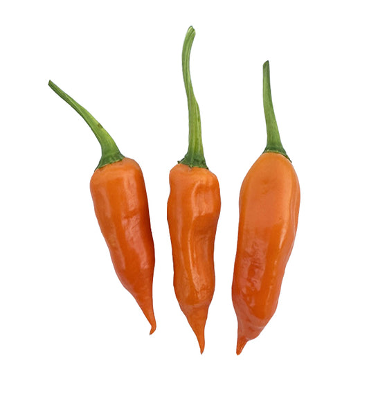 Aji Amarillo Seeds - ON SALE