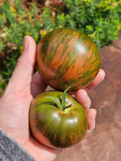 Berkeley Tie-Dye Tomato Seeds