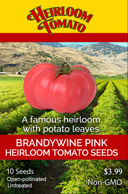 Pink Brandywine Heirloom Tomato 50+ Seeds