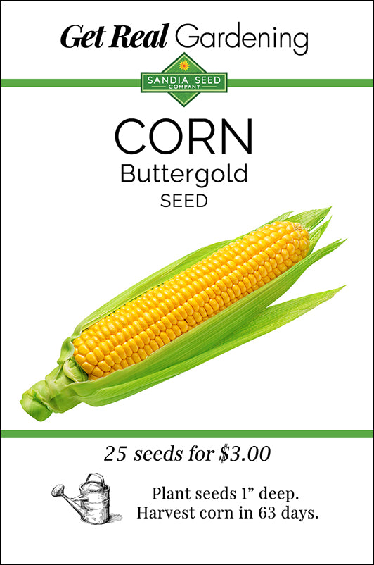 Corn - Buttergold Yellow Sweet Corn F1 Seeds