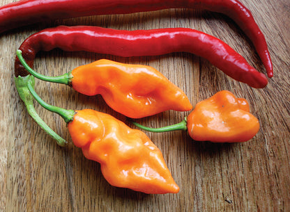 Habanada peppers on table