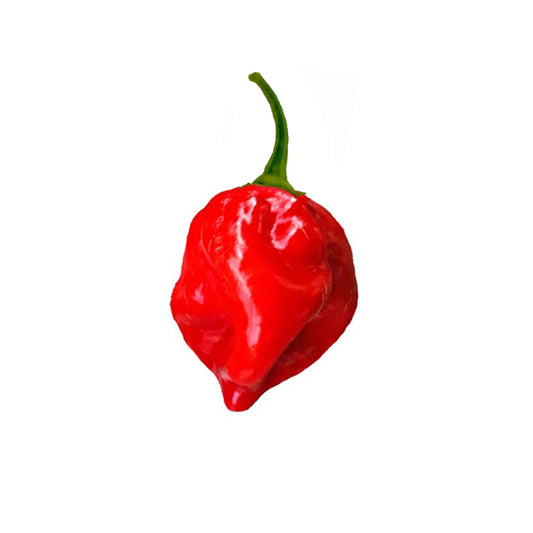 Habanero Red Caribbean Seeds