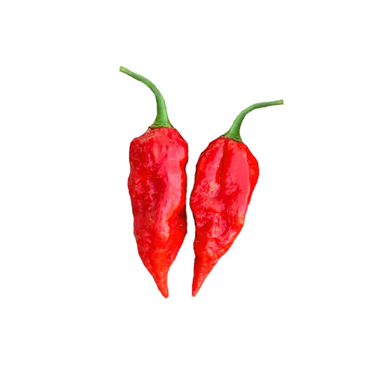 Naga Morich Pepper Seeds