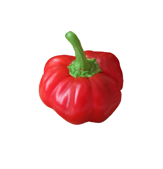 Pimento Sheepnose Pepper Seeds - ON SALE