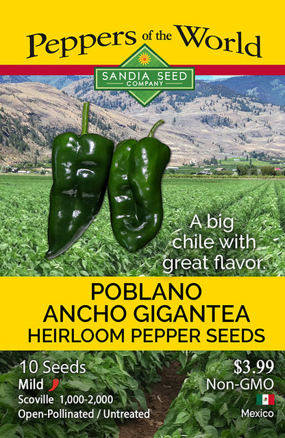 Poblano Ancho Gigantea Pepper Seeds