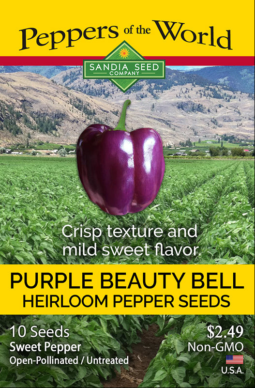 Purple Beauty Bell Heirloom Sweet Pepper Crisp and Sweet