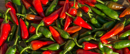 Hot Pepper Seeds | Hatch Chile Seeds | Sandia Seed Company