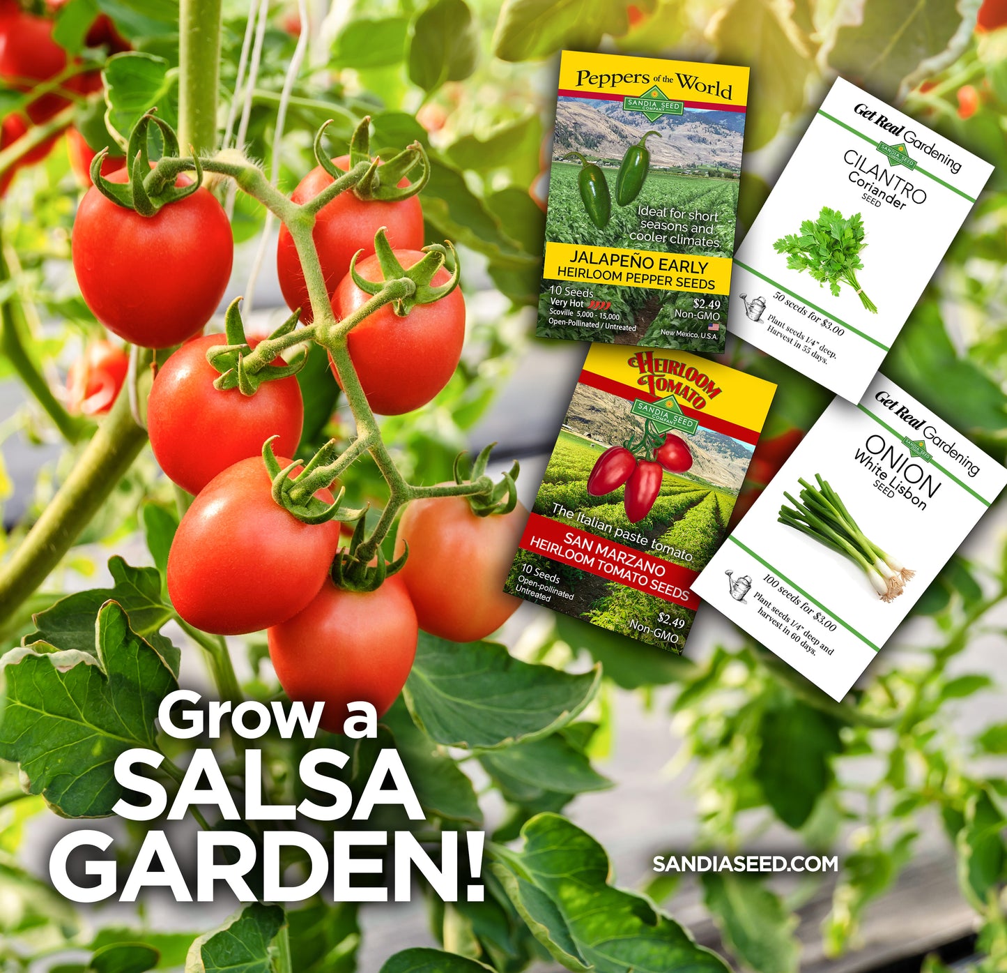 https://www.sandiaseed.com/cdn/shop/files/Salsa-Garden_99431047-0563-48c5-97b5-caa884e12f66_1445x.jpg?v=1688598288