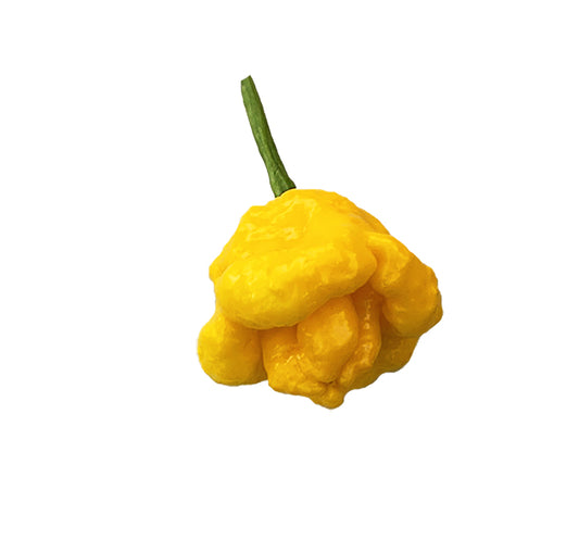 Spicy Heirloom Yellow Scotch Bonnet pepper