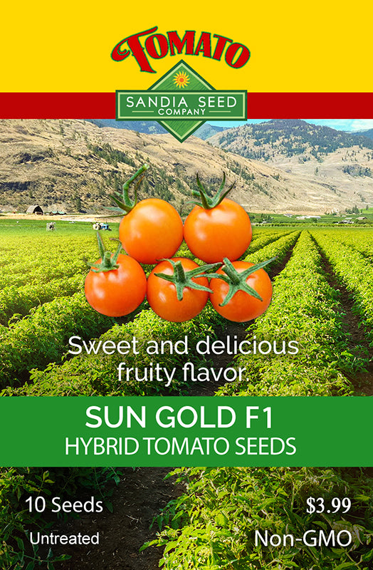 Sun Gold F1 Tomato Seeds