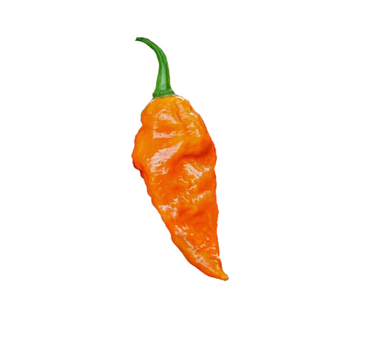 Tasmanian Ghost Pepper Seeds