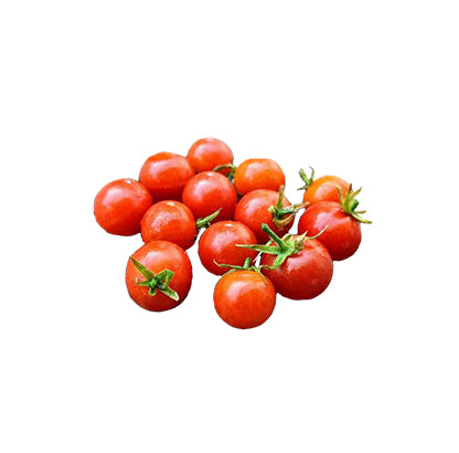 Red Tiny Tim tomato harvest