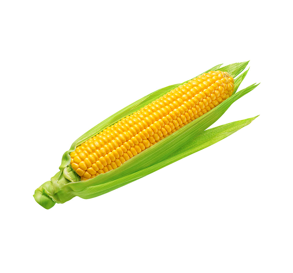 Corn - Buttergold Yellow Sweet Corn F1 Seeds