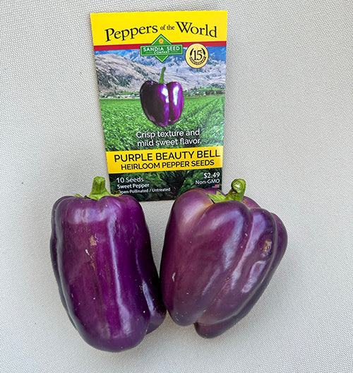 Bell Purple Beauty Sweet Pepper Seeds