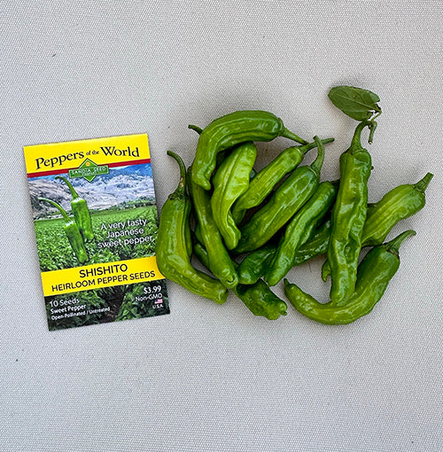 Shishito Japanese Sweet Pepper Seeds