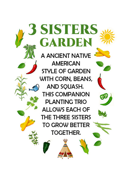 Three Sisters Garden 3-Pack: Corn, Pole Bean and Squash Seeds - 15% Off