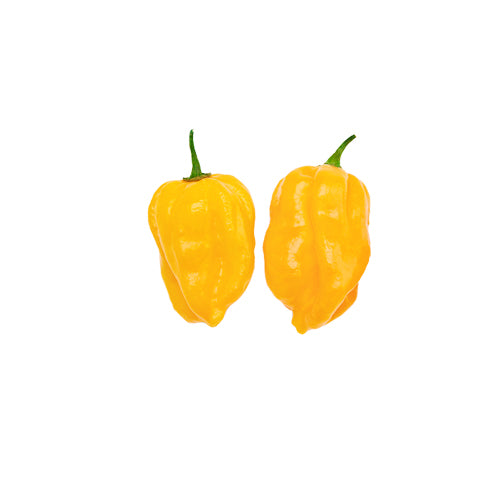 Habanero Yellow Caribbean Seeds