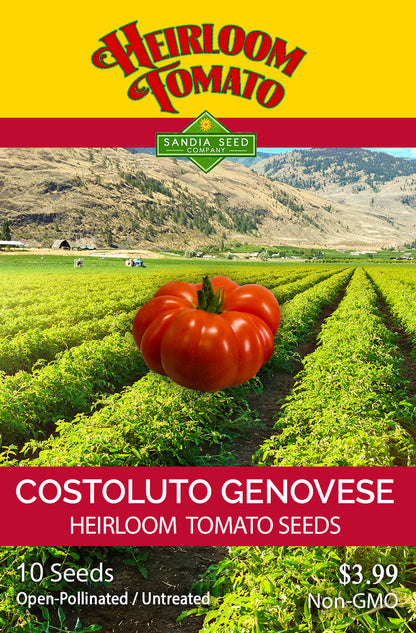 Costoluto Genovese Tomato Seeds